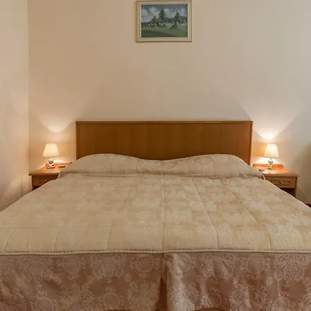 Hotel Ensana Svoboda