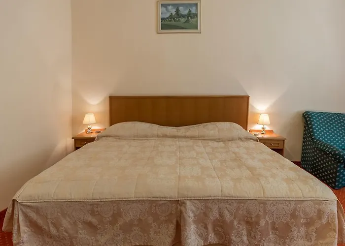 Hotel Ensana Svoboda