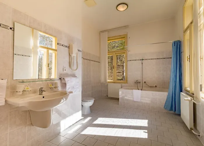 Hotel Ensana Svoboda 3*